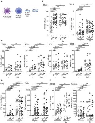 Potent Bidirectional Cross-Talk Between Plasmacytoid Dendritic Cells and γδT Cells Through BTN3A, Type I/II IFNs and Immune Checkpoints